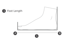 Women's Foot Length