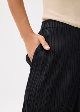 Leggy™ Anh Plissé Wide Leg Pants