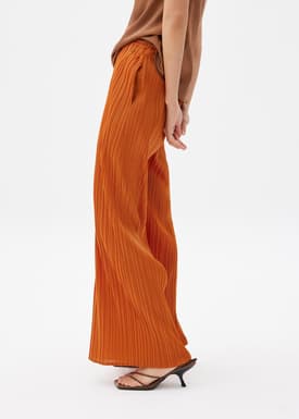 Leggy™ Anh Plissé Wide Leg Pants