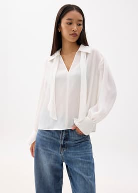 Crinkled Sheer Collared Blouse