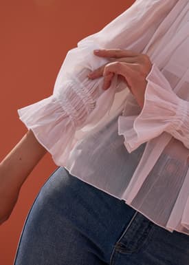 Sheer Poet Blouse