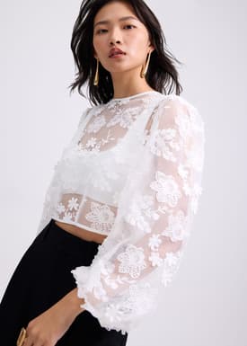 Lace Embroidery Puff Sleeve Crop Blouse
