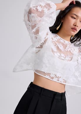 Lace Embroidery Puff Sleeve Crop Blouse