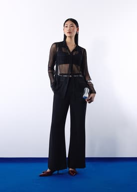 Sheer Plisse Collared Button Down Shirt