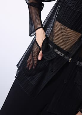 Sheer Plisse Collared Button Down Shirt