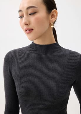Knit Fitted High Neck Top