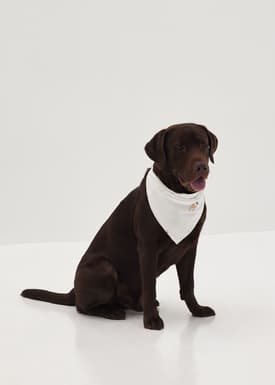 Adalira Bandana Bib in Humble Abode