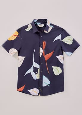 Austin Men's Poplin Button Down Shirt in Precious Treasures
