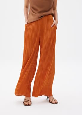 Leggy™ Anh Plissé Wide Leg Pants
