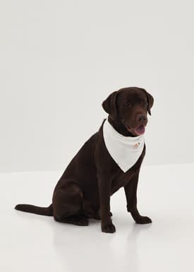 Adalira Bandana Bib in Humble Abode