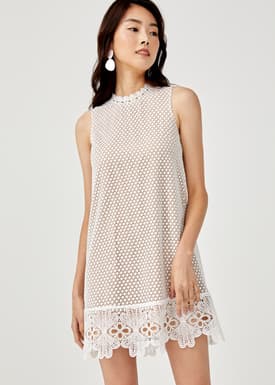 Tenley Lace Overlay Dress