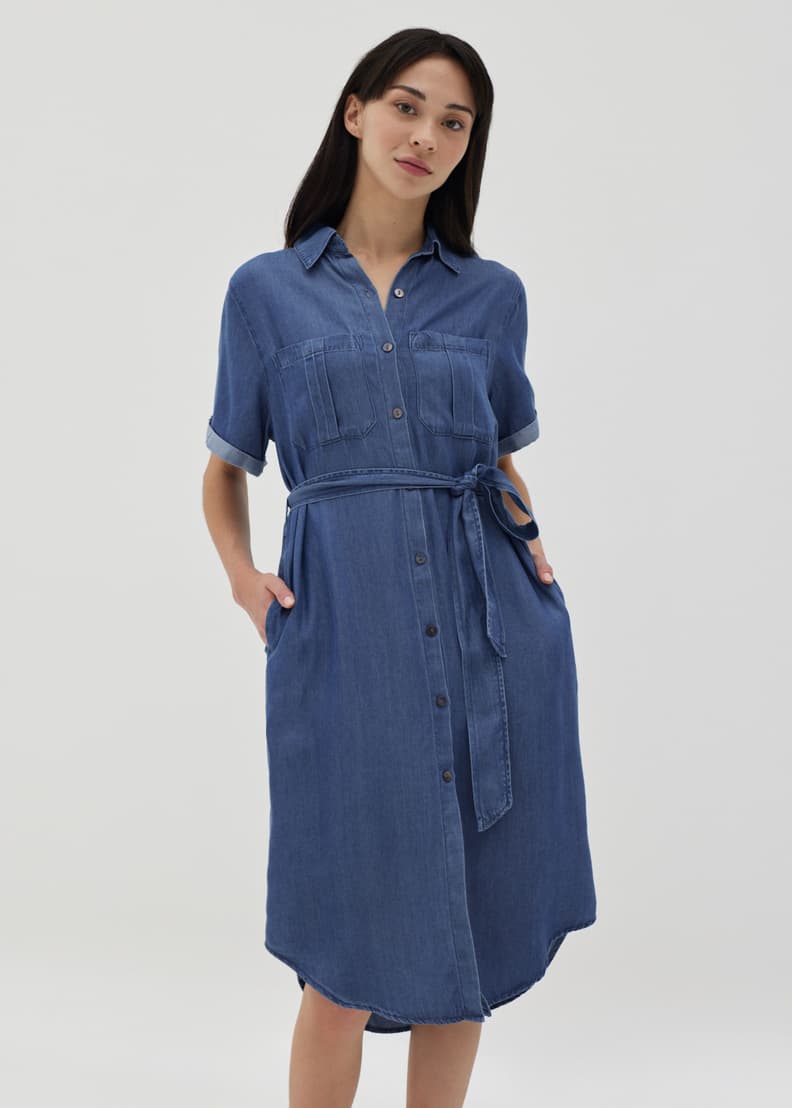 Chambray dress shirt best sale