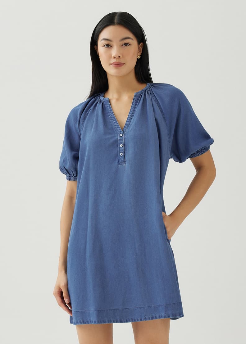Chambray swing sales dress