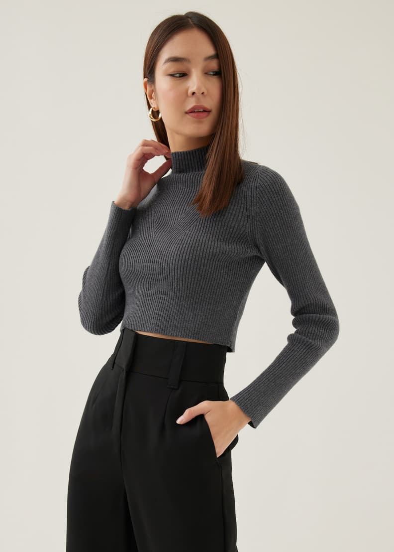 Crop top store knit sweater turtleneck